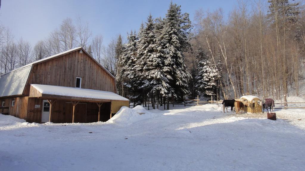 Auberge Le Cheval Bleu Saint-Alphonse-Rodriguez Exterior foto